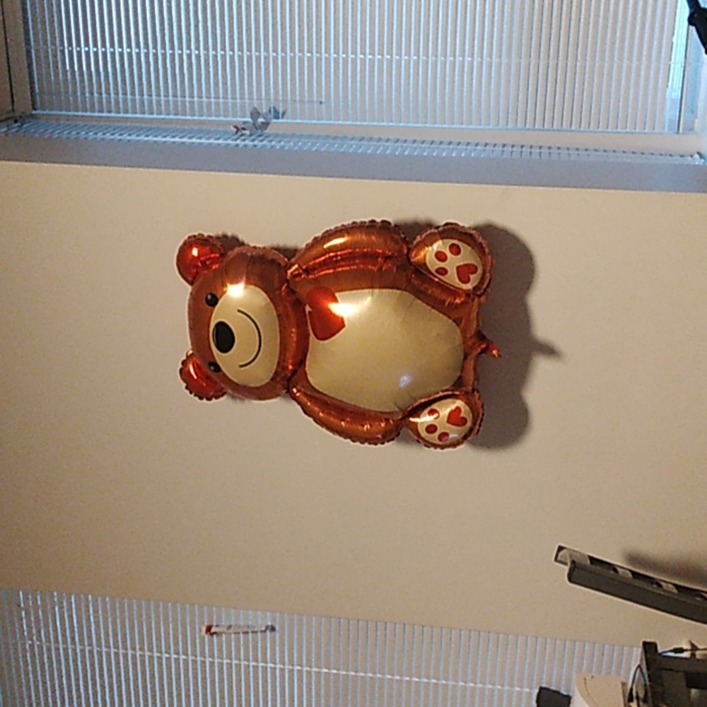 Big cuddle love bear ballon